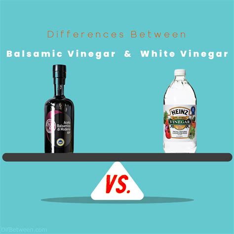 difference between white vinegar and balsamic.